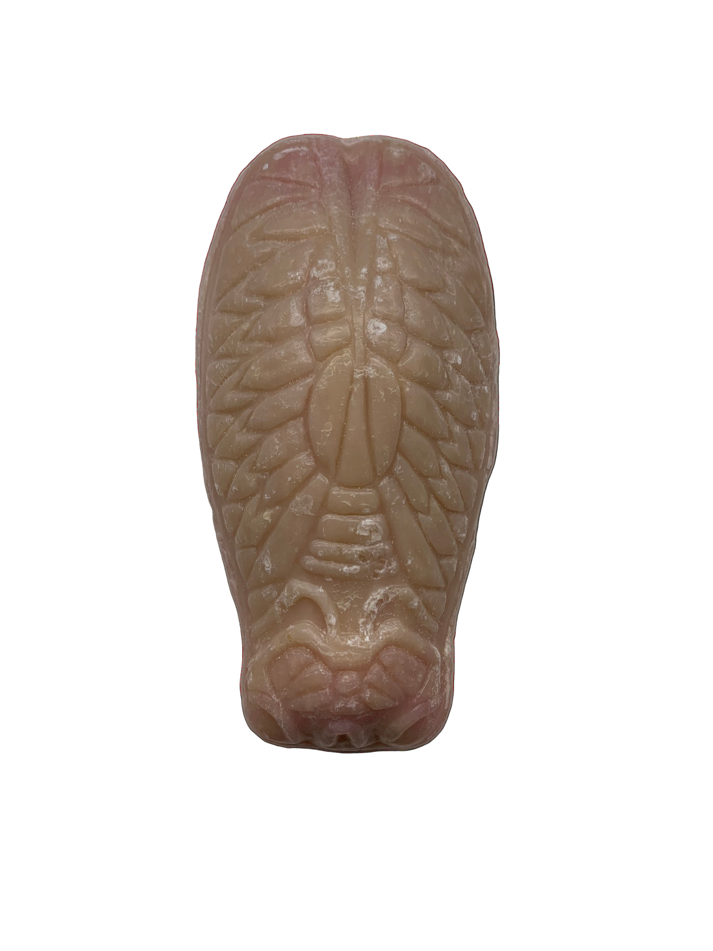 Cicada Soap