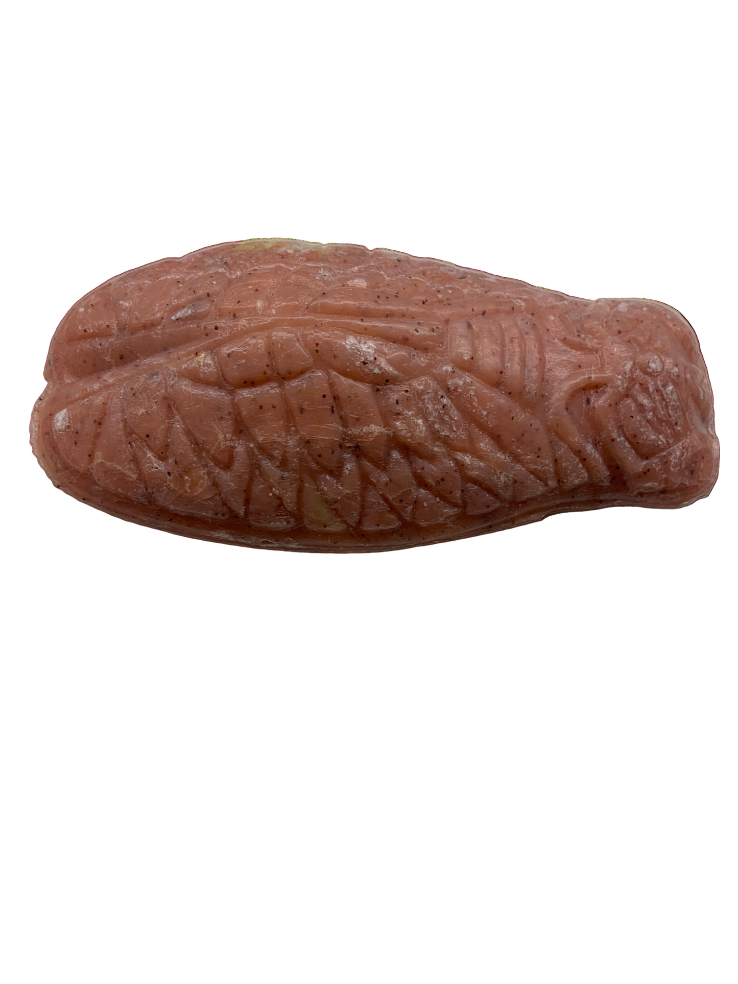 Cicada Soap