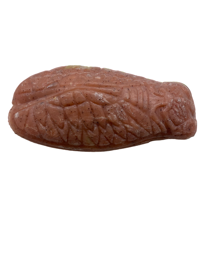 Cicada Soap