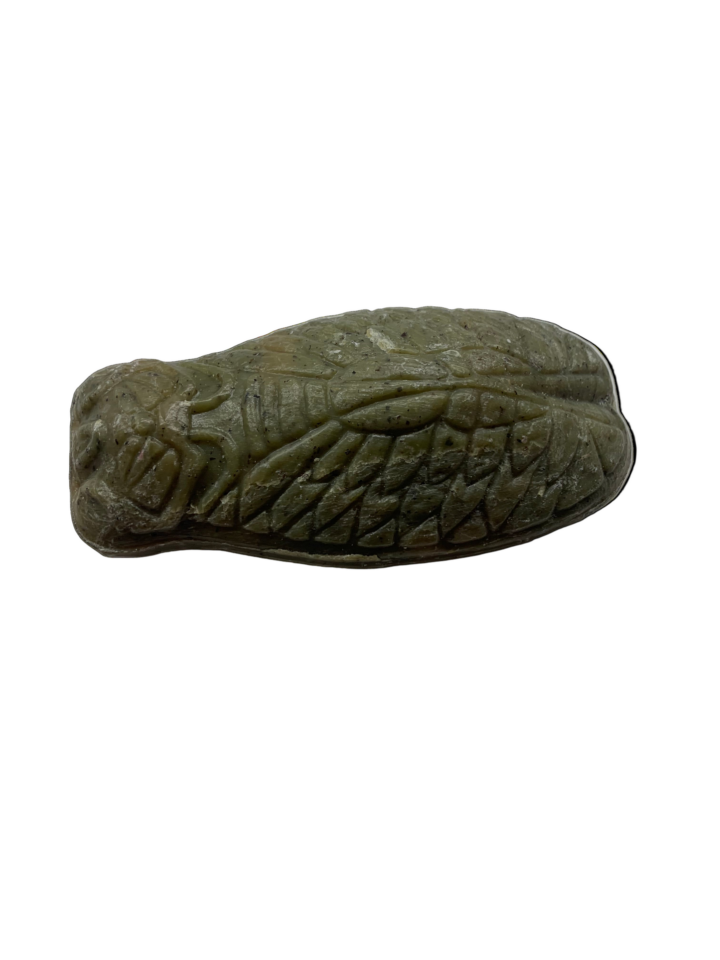 Cicada Soap