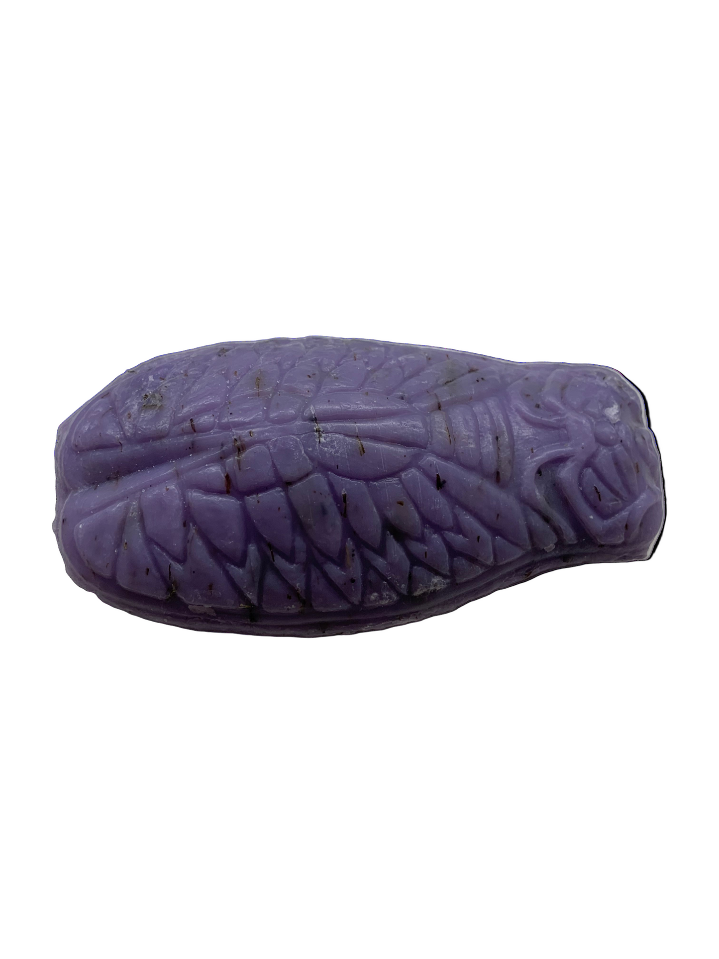 Cicada Soap