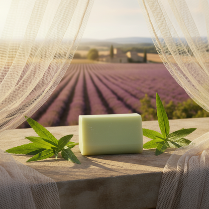 Citronella Marseille Soap Bar - 100g
